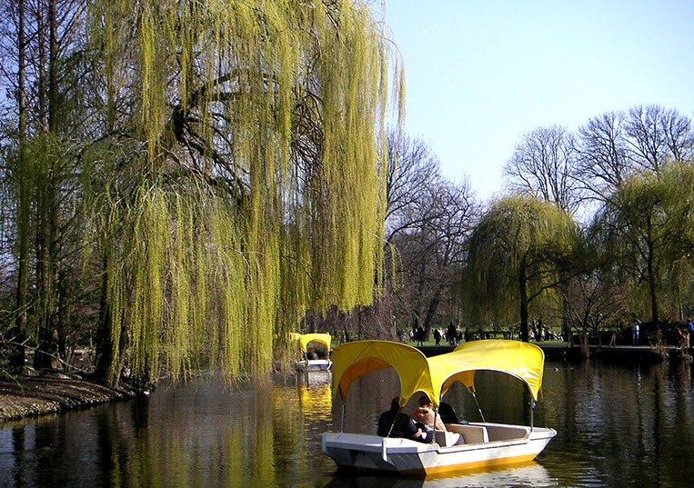 Mannheim gGmbH Park, Mannheim, Germany, Germany